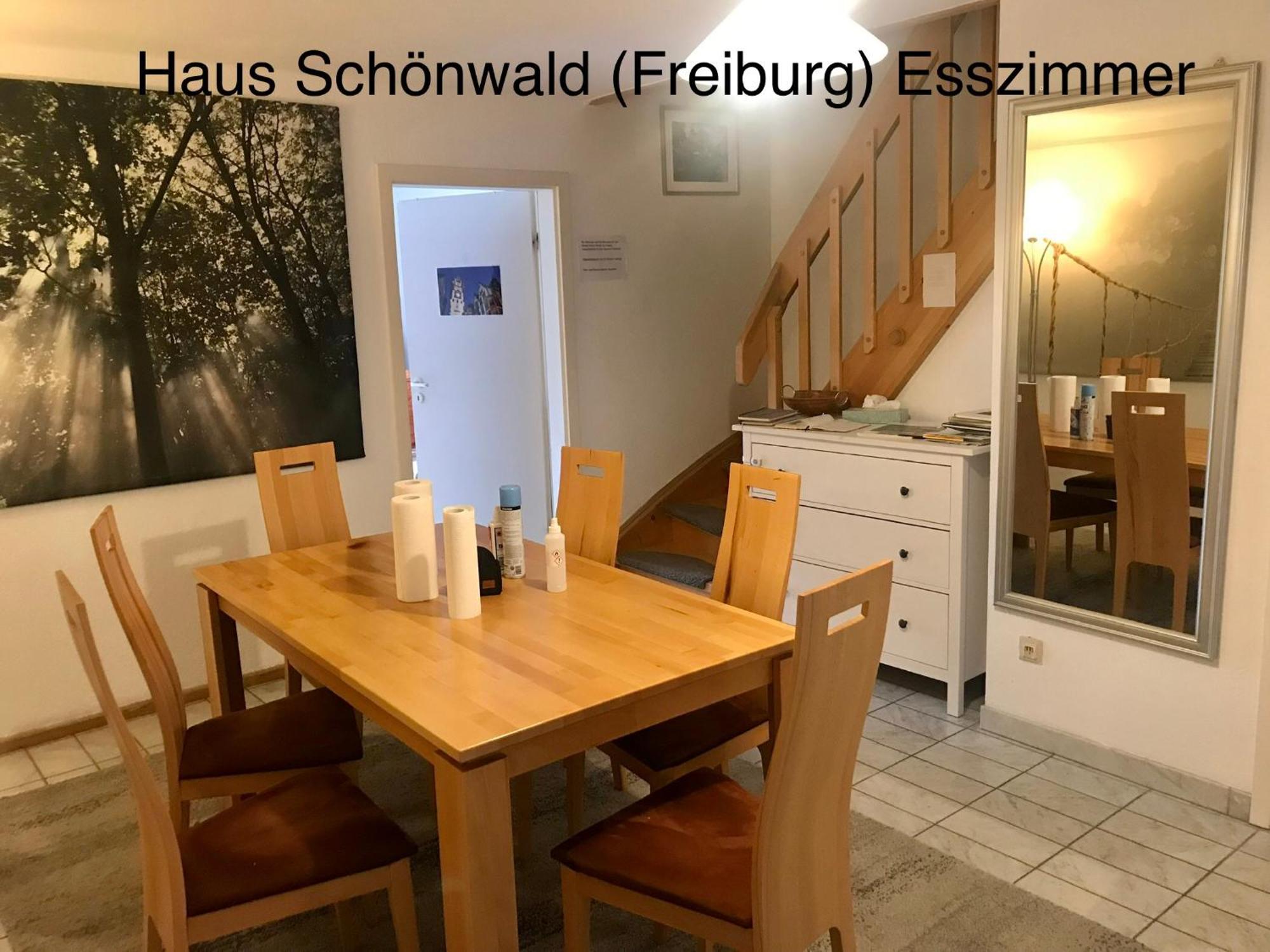 Haus Schoenwald Friburgo em Brisgóvia Exterior foto
